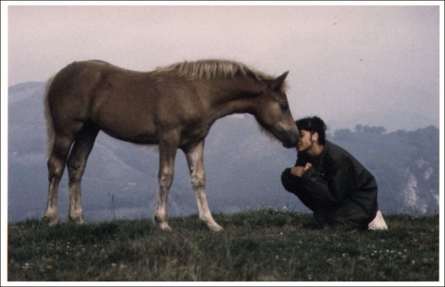 Keeping Your Horse Healthy and In Top Condition